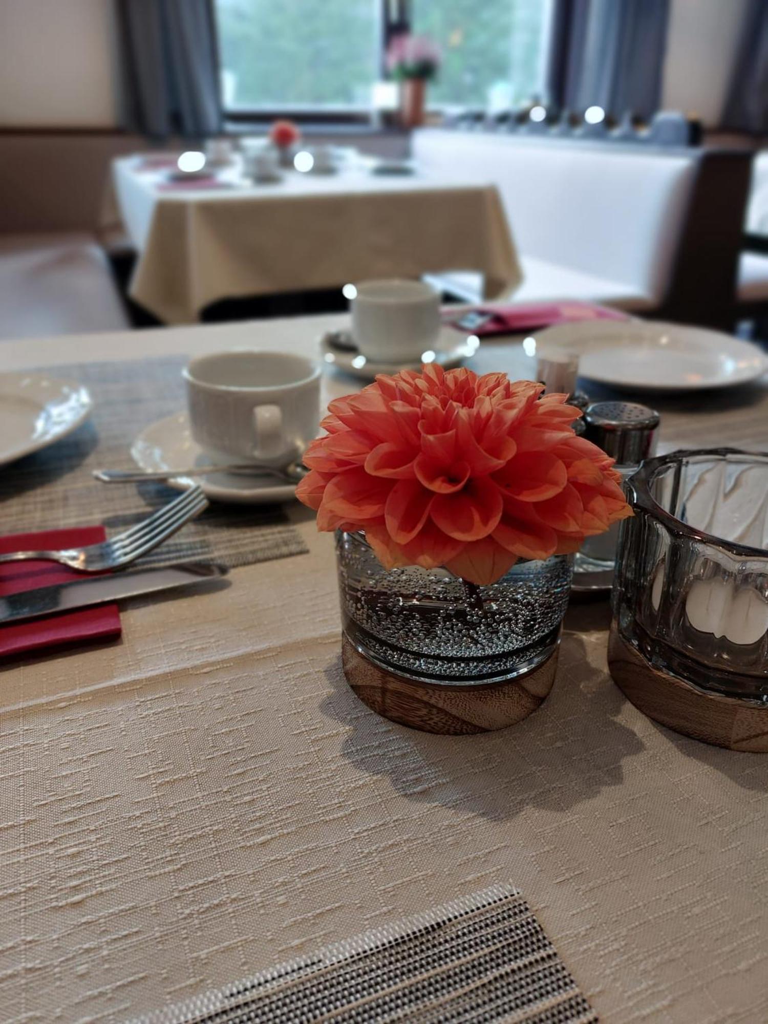 上陶恩 Draxlerhaus酒店 外观 照片